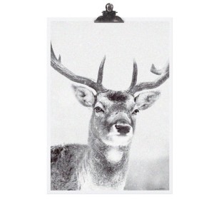 PLAKAT CHRISTMAS DEER TAFELGUT   
