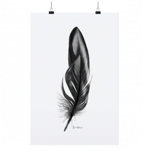 PLAKAT FEATHER TAFELGUT
